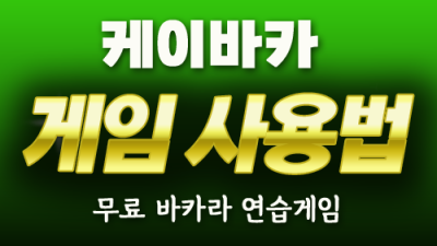 게임사용법안내